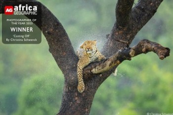 Prof. Christina Schwenck – Photographer of the Year 2025!