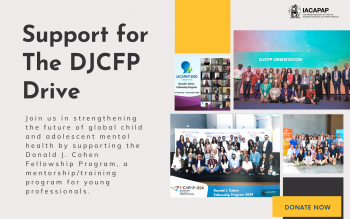 Support for the DJCFP Drive